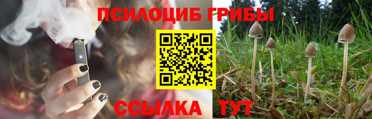 Галлюциногенные грибы Psilocybe  Галлюциногенные грибы ЛСД  Ковров  Вход с VPN 